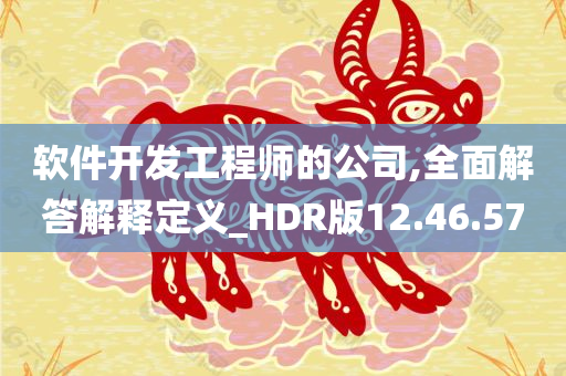 软件开发工程师的公司,全面解答解释定义_HDR版12.46.57