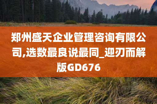 郑州盛天企业管理咨询有限公司,选数最良说最同_迎刃而解版GD676