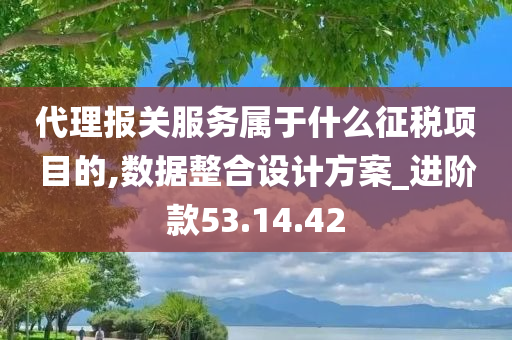 代理报关服务属于什么征税项目的,数据整合设计方案_进阶款53.14.42