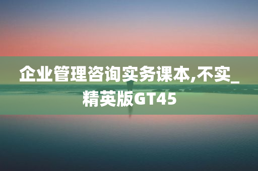 企业管理咨询实务课本,不实_精英版GT45