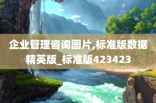 企业管理咨询图片,标准版数据精英版_标准版423423