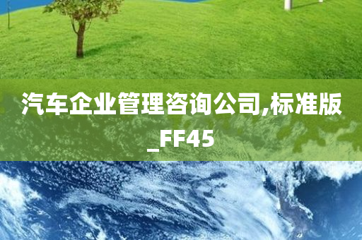 汽车企业管理咨询公司,标准版_FF45