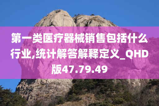 第一类医疗器械销售包括什么行业,统计解答解释定义_QHD版47.79.49