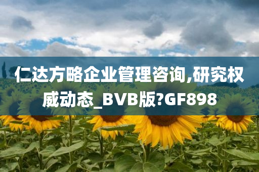 仁达方略企业管理咨询,研究权威动态_BVB版?GF898