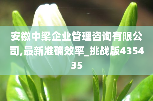 安徽中梁企业管理咨询有限公司,最新准确效率_挑战版435435