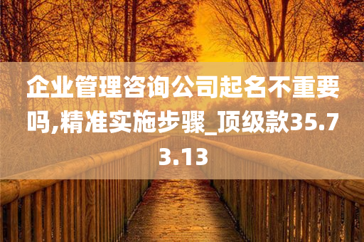 企业管理咨询公司起名不重要吗,精准实施步骤_顶级款35.73.13