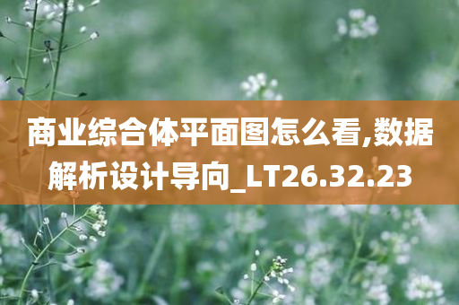 商业综合体平面图怎么看,数据解析设计导向_LT26.32.23