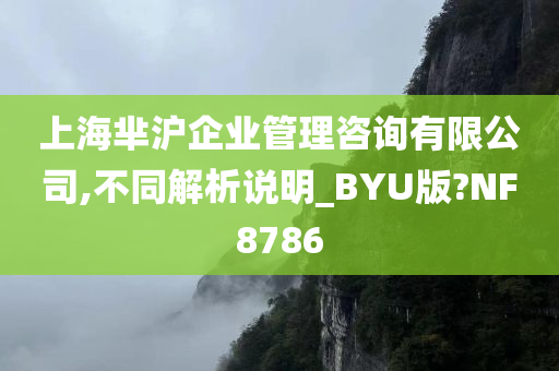 上海芈沪企业管理咨询有限公司,不同解析说明_BYU版?NF8786