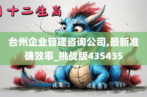 台州企业管理咨询公司,最新准确效率_挑战版435435