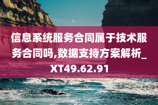 信息系统服务合同属于技术服务合同吗,数据支持方案解析_XT49.62.91