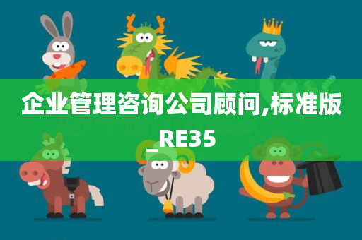 企业管理咨询公司顾问,标准版_RE35