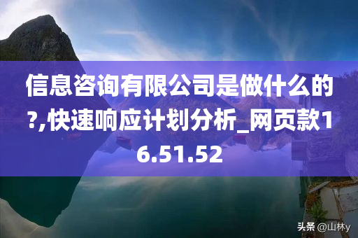 信息咨询有限公司是做什么的?,快速响应计划分析_网页款16.51.52