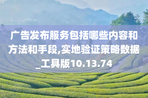 广告发布服务包括哪些内容和方法和手段,实地验证策略数据_工具版10.13.74