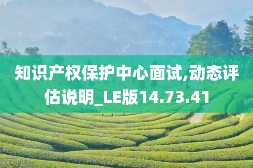 知识产权保护中心面试,动态评估说明_LE版14.73.41