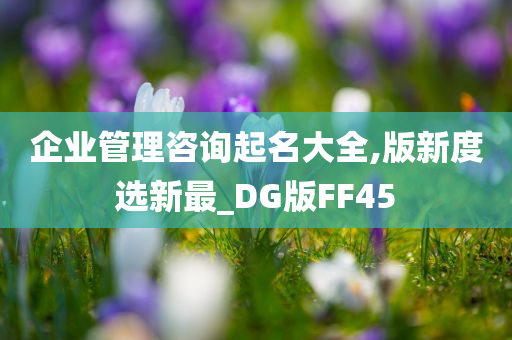 企业管理咨询起名大全,版新度选新最_DG版FF45