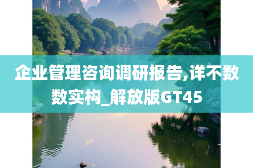 企业管理咨询调研报告,详不数数实构_解放版GT45