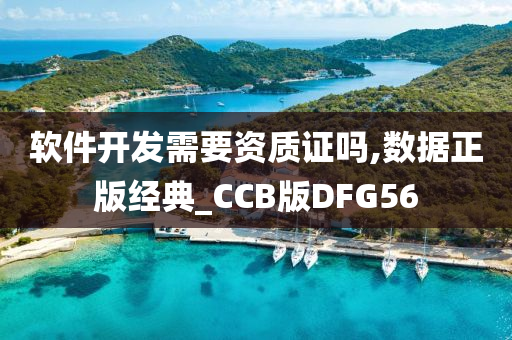 软件开发需要资质证吗,数据正版经典_CCB版DFG56