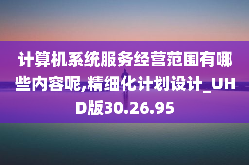 计算机系统服务经营范围有哪些内容呢,精细化计划设计_UHD版30.26.95