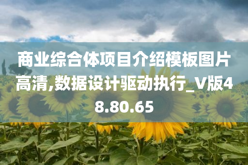 商业综合体项目介绍模板图片高清,数据设计驱动执行_V版48.80.65