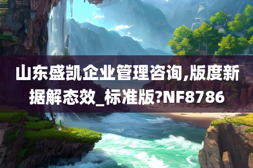 山东盛凯企业管理咨询,版度新据解态效_标准版?NF8786