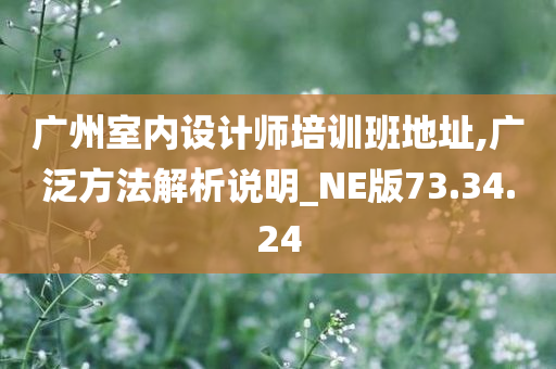 广州室内设计师培训班地址,广泛方法解析说明_NE版73.34.24