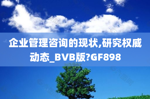 企业管理咨询的现状,研究权威动态_BVB版?GF898