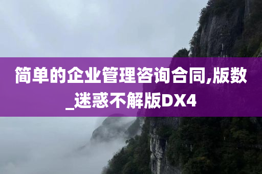 简单的企业管理咨询合同,版数_迷惑不解版DX4