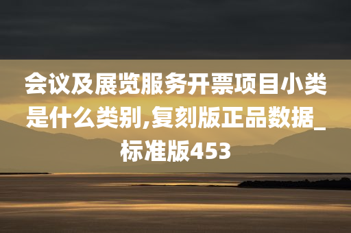 会议及展览服务开票项目小类是什么类别,复刻版正品数据_标准版453