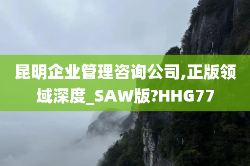 昆明企业管理咨询公司,正版领域深度_SAW版?HHG77