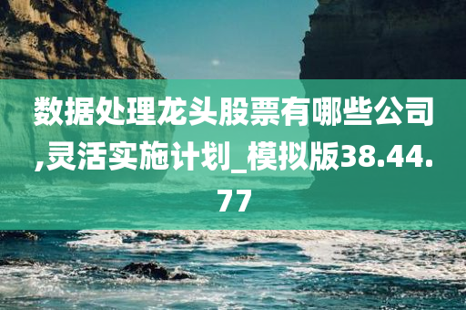 数据处理龙头股票有哪些公司,灵活实施计划_模拟版38.44.77