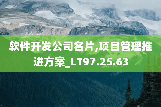 软件开发公司名片,项目管理推进方案_LT97.25.63