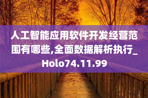 人工智能应用软件开发经营范围有哪些,全面数据解析执行_Holo74.11.99