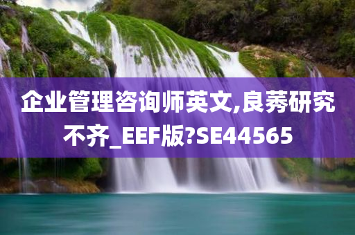 企业管理咨询师英文,良莠研究不齐_EEF版?SE44565