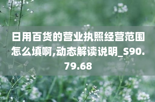 日用百货的营业执照经营范围怎么填啊,动态解读说明_S90.79.68