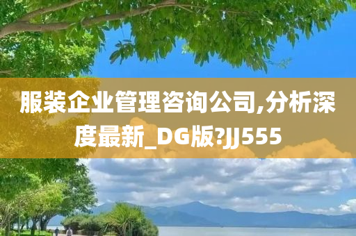 服装企业管理咨询公司,分析深度最新_DG版?JJ555