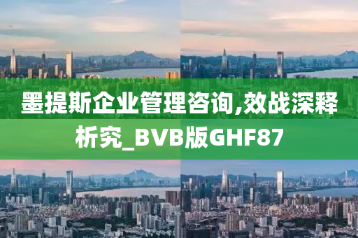 墨提斯企业管理咨询,效战深释析究_BVB版GHF87