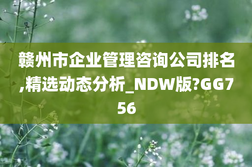 赣州市企业管理咨询公司排名,精选动态分析_NDW版?GG756