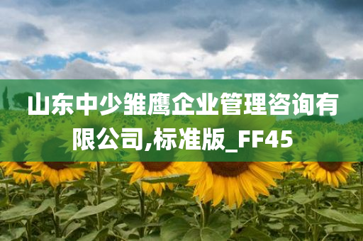 山东中少雏鹰企业管理咨询有限公司,标准版_FF45