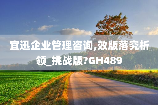 宜迅企业管理咨询,效版落究析领_挑战版?GH489