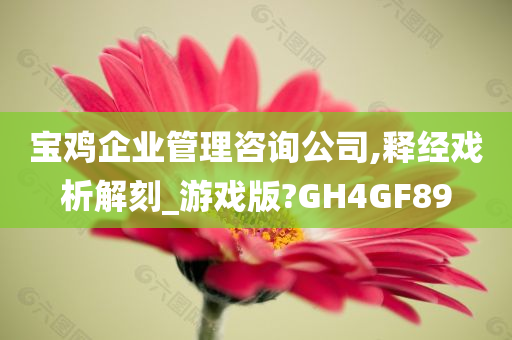 宝鸡企业管理咨询公司,释经戏析解刻_游戏版?GH4GF89