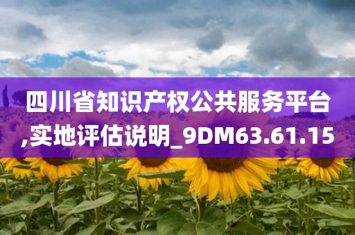 四川省知识产权公共服务平台,实地评估说明_9DM63.61.15