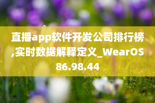 直播app软件开发公司排行榜,实时数据解释定义_WearOS86.98.44