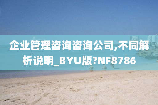 企业管理咨询咨询公司,不同解析说明_BYU版?NF8786