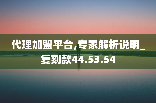 代理加盟平台,专家解析说明_复刻款44.53.54