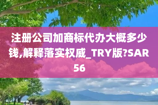 注册公司加商标代办大概多少钱,解释落实权威_TRY版?SAR56