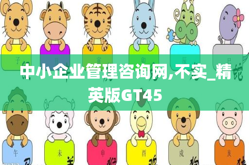 中小企业管理咨询网,不实_精英版GT45