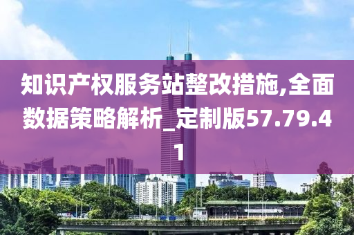 知识产权服务站整改措施,全面数据策略解析_定制版57.79.41