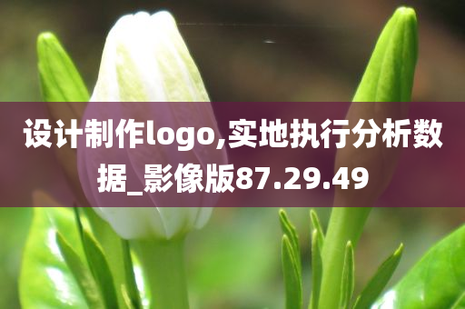 设计制作logo,实地执行分析数据_影像版87.29.49