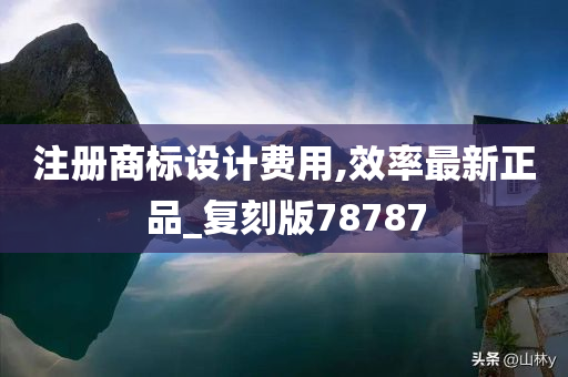 注册商标设计费用,效率最新正品_复刻版78787