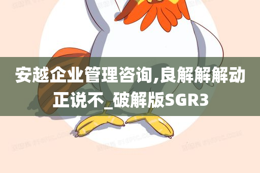 安越企业管理咨询,良解解解动正说不_破解版SGR3